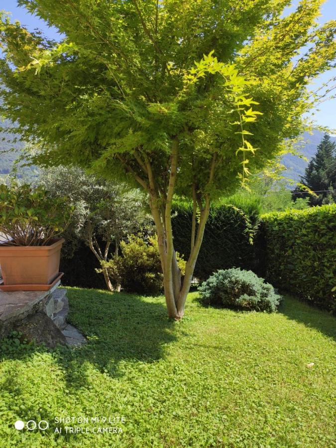 Casa Vacanza Il Glicine Casale Corte Cerro Екстериор снимка
