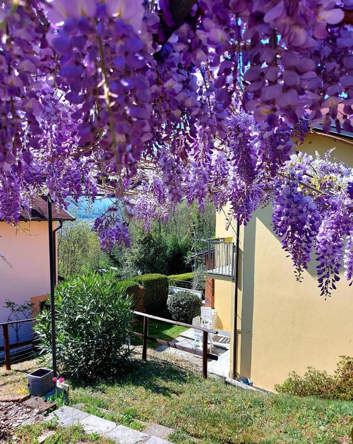 Casa Vacanza Il Glicine Casale Corte Cerro Екстериор снимка